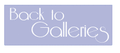 back_to_galleries